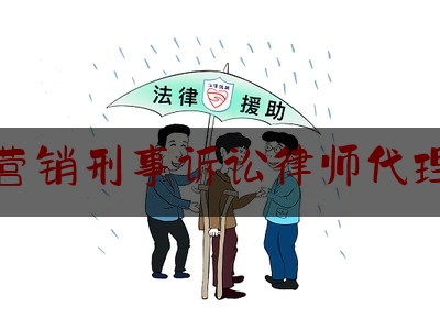 网络营销刑事诉讼律师代理品牌（网络营销律师事件）