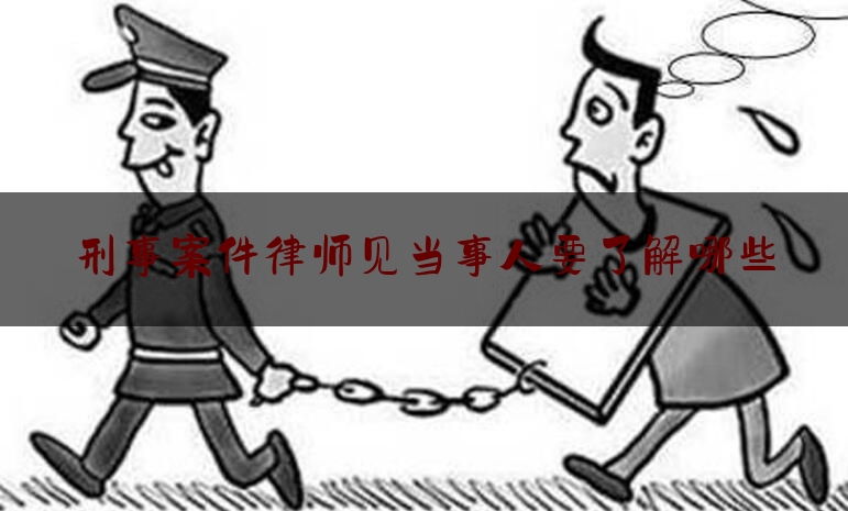 [见解]追踪解读:刑事案件律师见当事人要了解哪些,刑事案件找律师分为几个阶段