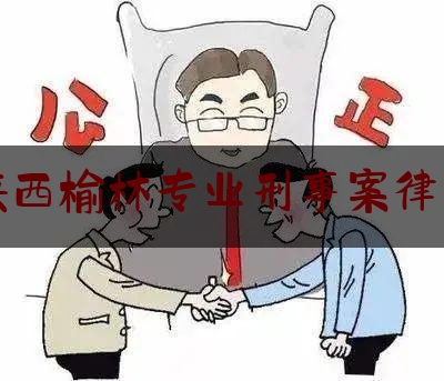 陕西榆林专业刑事案律师