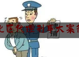 渝北区代理刑事大案律师（渝北区律师事务所）