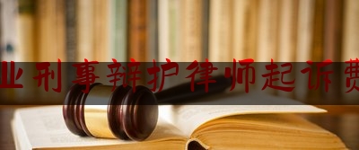 专业刑事辩护律师起诉费用（刑事案件辩护律师要多少钱）