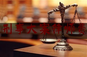 南京找刑事大案律师费用多少（南京刑事案件律师事务所排行）