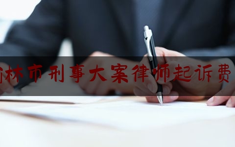 榆林市刑事大案律师起诉费用（榆林刑事案件知名律师）