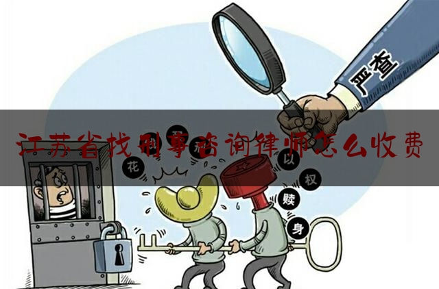 江苏省找刑事咨询律师怎么收费（江苏刑事案件律师）