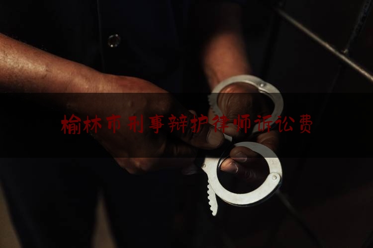 榆林市刑事辩护律师诉讼费（陕西刑事辩护律师）