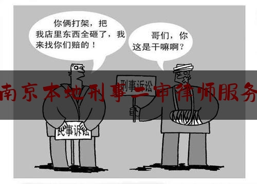 南京本地刑事二审律师服务（南京刑事案件律师收费标准）