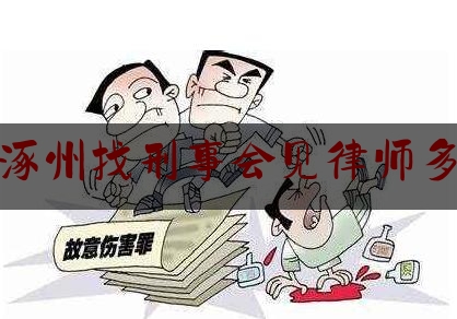 保定涿州找刑事会见律师多少钱（刑事案件会见律师）