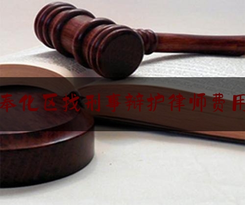 奉化区找刑事辩护律师费用