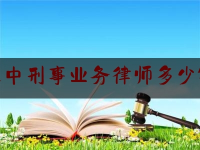 辽中刑事业务律师多少钱