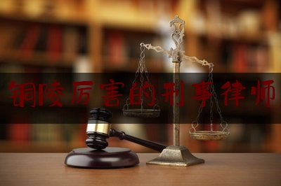 简单普及一下铜陵厉害的刑事律师,律师刘召奎辩护视频