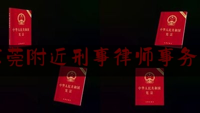 东莞附近刑事律师事务所（东莞最出名的刑事律师）