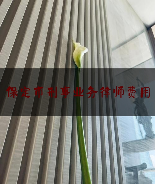 保定市刑事业务律师费用（保定刑事律师事务所）