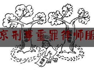北京刑事重罪律师服务（北京刑事律师收费标准和方式）