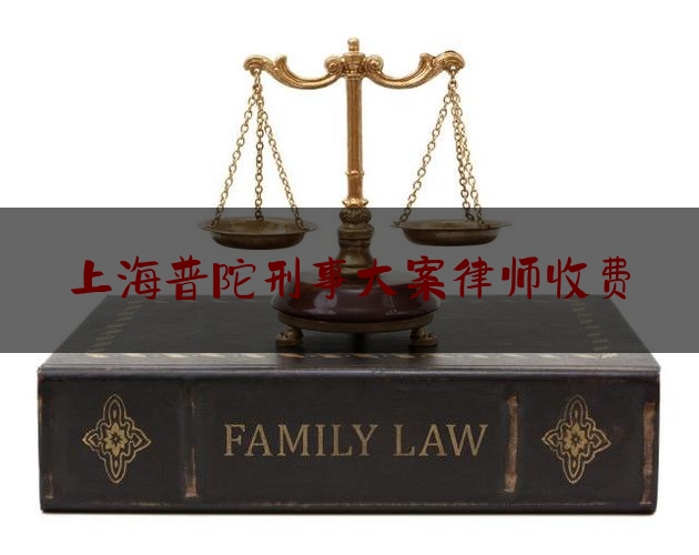 上海普陀刑事大案律师收费（上海普陀律师事务所刑事探视）