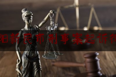 沈阳新民市刑事案起诉律师（沈阳民事案件律师）