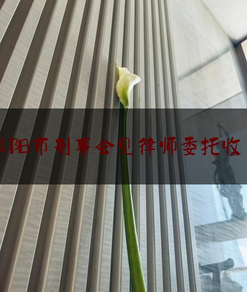 阜阳市刑事会见律师委托收费（刑事案件律师会见请律师带话都带些什么）