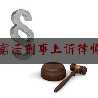 江苏宿迁刑事上诉律师咨询（宿迁刑事纠纷律师）