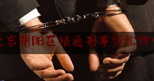 北京朝阳区精通刑事诉讼律师（律师最怕的人）