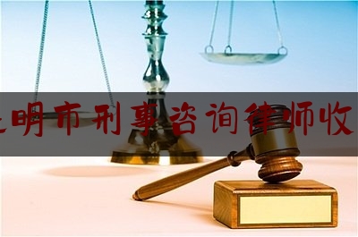 昆明市刑事咨询律师收费（昆明市刑事咨询律师收费多少）