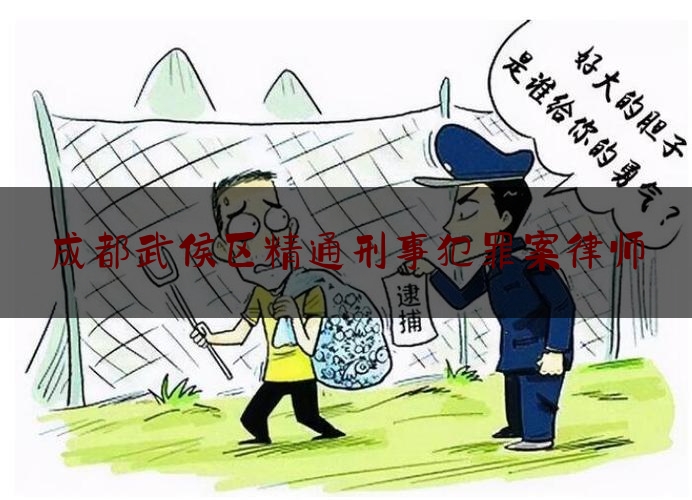 科普一下成都武侯区精通刑事犯罪案律师,成都艾滋病咨询电话