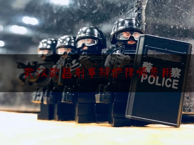 武汉武昌刑事辩护律师费用（武汉知名刑事辩护律师）