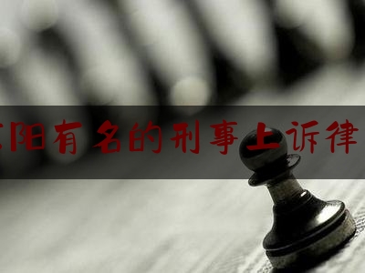 东阳有名的刑事上诉律师