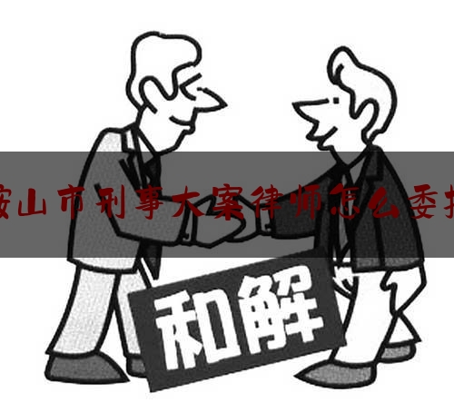 鞍山市刑事大案律师怎么委托（刑事案件委托律师的流程）