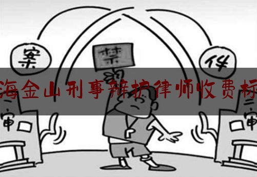 上海***刑事辩护律师收费标准（上海***区哪个律师所比较好）