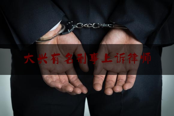 「普及一下」大兴有名刑事上诉律师,不鸣则已一鸣惊人是谁的典故