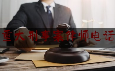 北京重大刑事案律师电话咨询（北京刑事案律师所）