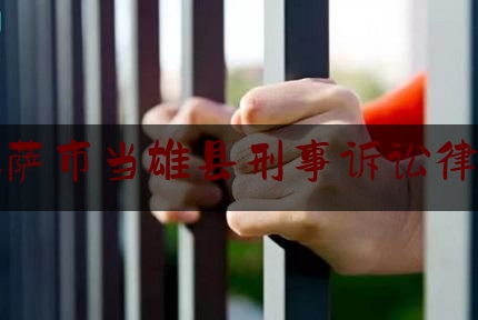 拉萨市当雄县刑事诉讼律师（拉萨刑事案件）