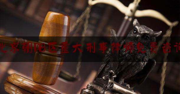 北京朝阳区重大刑事律师免费咨询（北京朝阳区刑事律师事务所）