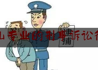 仓山专业的刑事诉讼律师