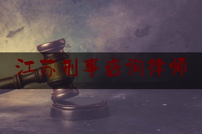 江苏刑事咨询律师