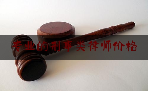 专业的刑事类律师价格