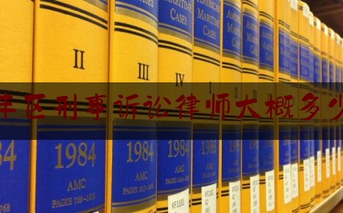 大丰区刑事诉讼律师大概多少钱（2021刑事案件律师收费标准）