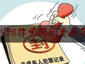 刑事纠纷律师顾问费用怎么收（刑事案件律师咨询）