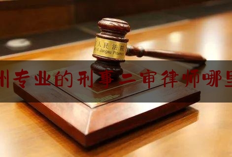 实事观点讯息:惠州专业的刑事二审律师哪里找,刑案律师